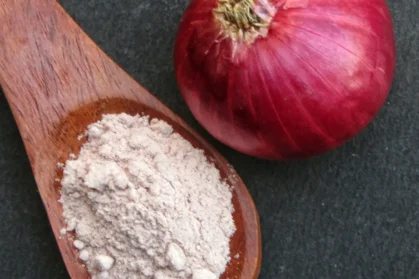 Natural vs Artificial Onion Powder: What’s the Real Difference?