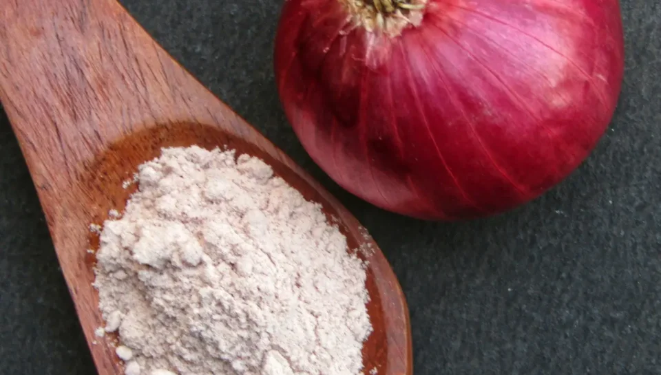 Natural vs Artificial Onion Powder: What’s the Real Difference?