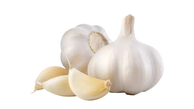 Pira Foods pure garlic powder for soups and sauces