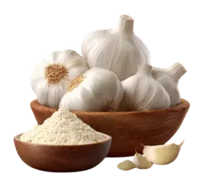 Freshly processed pure garlic powder packed for long shelf life